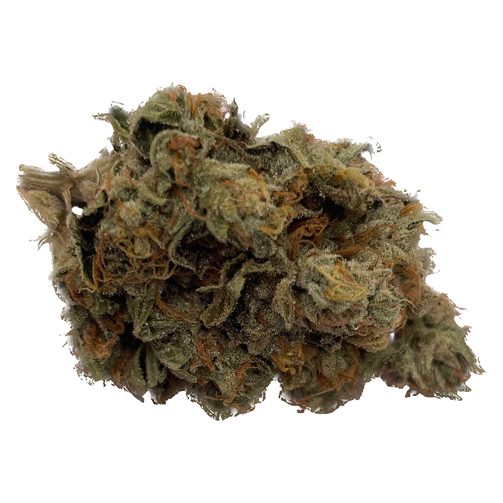 Green Joy - HŸGH 5 - Hybrid